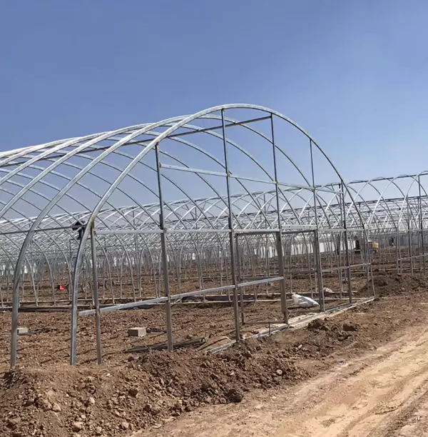 Парникови тръби